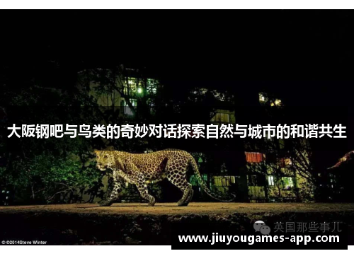 大阪钢吧与鸟类的奇妙对话探索自然与城市的和谐共生