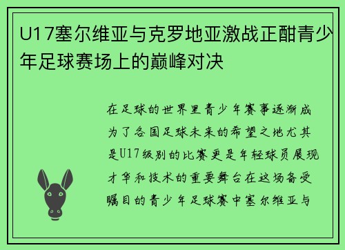 U17塞尔维亚与克罗地亚激战正酣青少年足球赛场上的巅峰对决